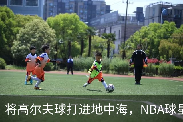 将高尔夫球打进地中海，NBA球星詹姆斯惹官司，意大利协会：已起诉，按刑法或判2-6年